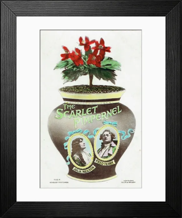 Framed Print : The Scarlet Pimpernel by Baroness Orczy and M Barstow Framed Print : The Scarlet Pimpernel by Baroness Orczy and M Barstow