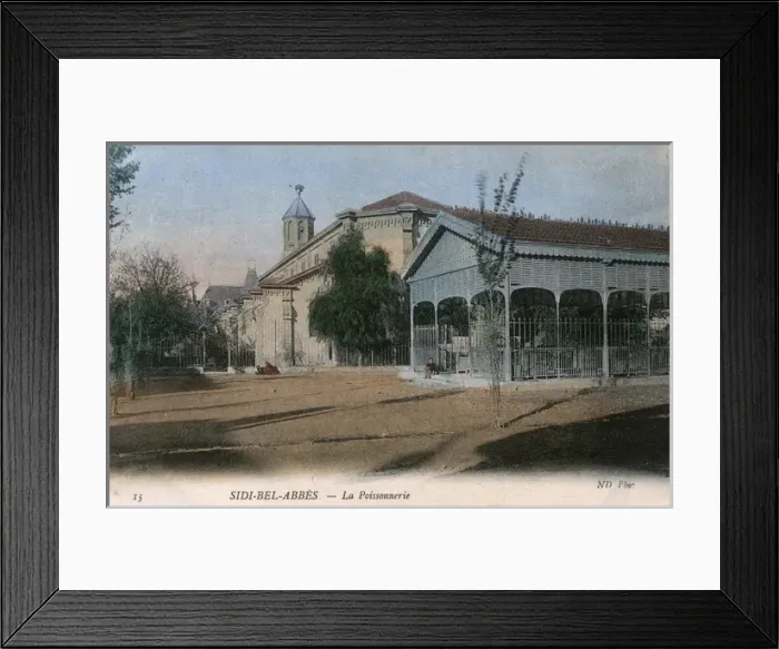 Framed Print : Fish market, Sidi-Bel-Abbes, NW Algeria, North Africa Framed Print : Fish market, Sidi-Bel-Abbes, NW Algeria, North Africa