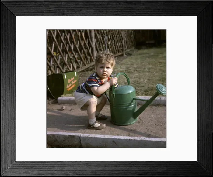 Framed Print : Little boy with green watering can in a garden Framed Print : Little boy with green watering can in a garden