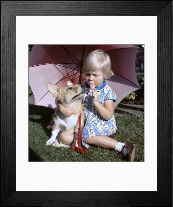 Framed Print : Little girl with Corgi dog under a parasol in a garden Framed Print : Little girl with Corgi dog under a parasol in a garden