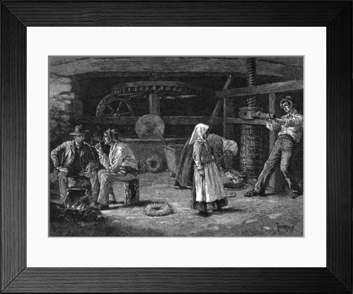 Framed Print : Olive Oil Press Framed Print : Olive Oil Press
