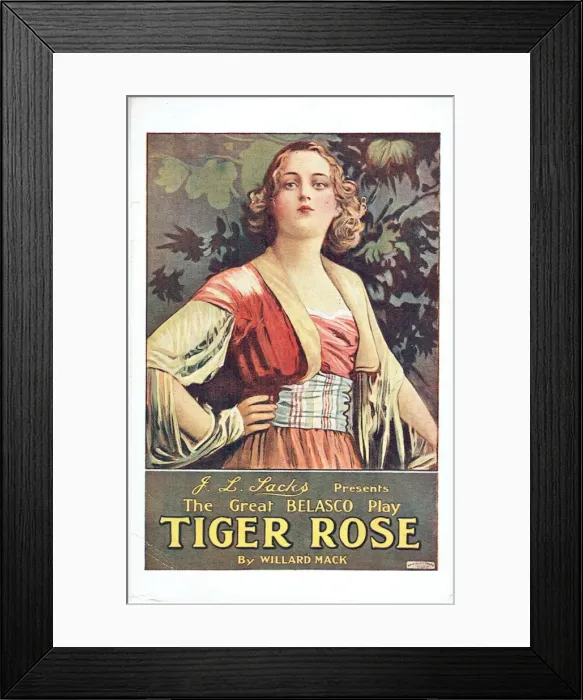Framed Print : Tiger Rose by Willard Mack Framed Print : Tiger Rose by Willard Mack