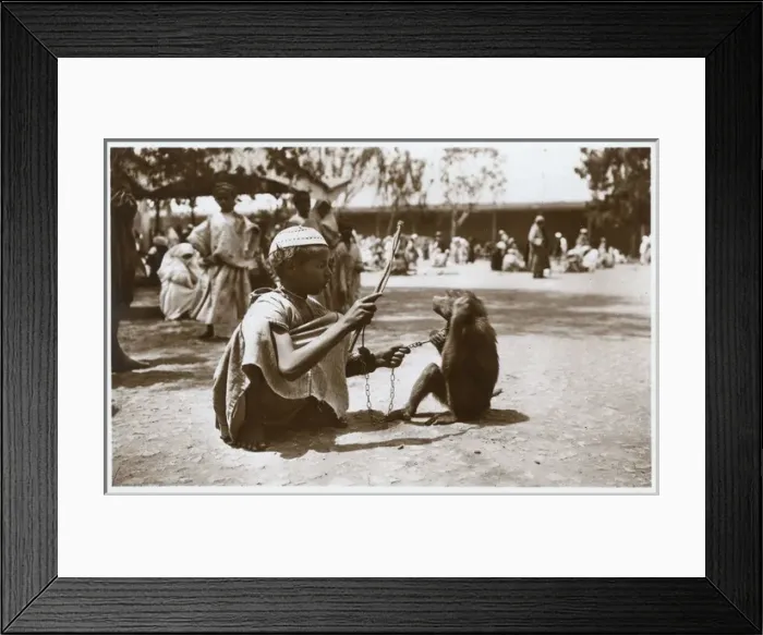 Framed Print : Moroccan boy (trainer) with monkey Framed Print : Moroccan boy (trainer) with monkey
