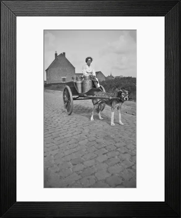 Framed Print : Dog and Milkcart Framed Print : Dog and Milkcart