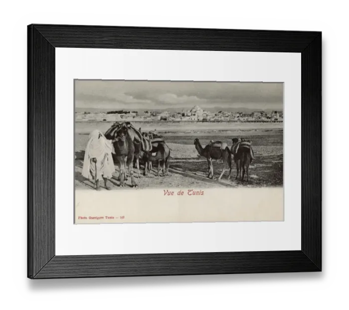 Framed Print : Distant view of Tunis, Tunisia, North Africa Framed Print : Distant view of Tunis, Tunisia, North Africa