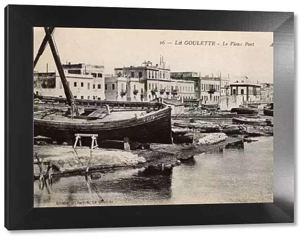 View of the old port, La Goulette, Tunisia, North Africa