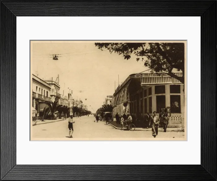 Framed Print : Avenue Krantz, Sousse, Tunisia, North Africa Framed Print : Avenue Krantz, Sousse, Tunisia, North Africa