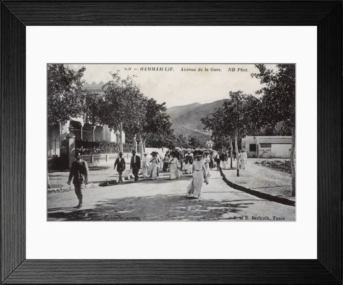 Framed Print : Avenue de la Gare, Hammam-Lif, Tunisia, North Africa Framed Print : Avenue de la Gare, Hammam-Lif, Tunisia, North Africa