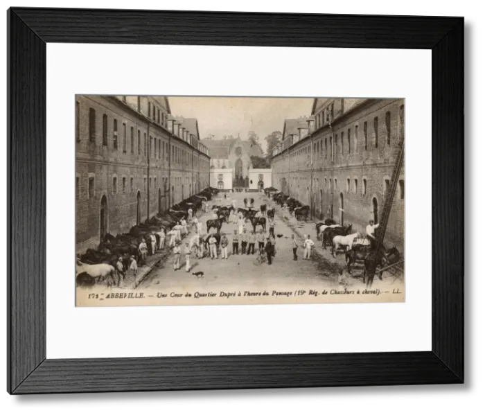 Framed Print : Abbeville - grooming time - horses of 19th Cavalry Regiment Framed Print : Abbeville - grooming time - horses of 19th Cavalry Regiment