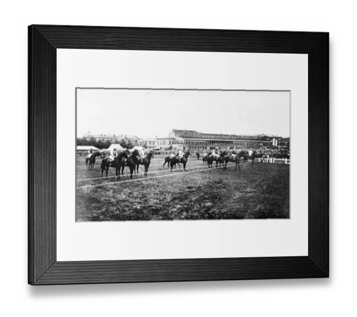 Framed Print : Horses at starting line, Doncaster racecourse Framed Print : Horses at starting line, Doncaster racecourse