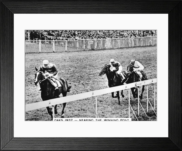 Framed Print : Horses near the winning post, Epsom Oaks Framed Print : Horses near the winning post, Epsom Oaks