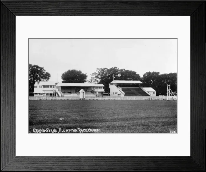 Framed Print : View of course and stands, Plumpton racecourse Framed Print : View of course and stands, Plumpton racecourse