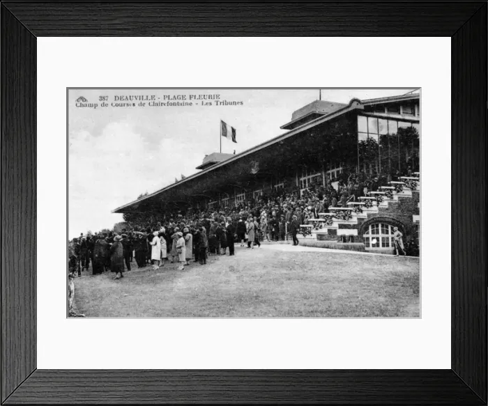 Framed Print : Deauville racecourse with crowd, France Framed Print : Deauville racecourse with crowd, France