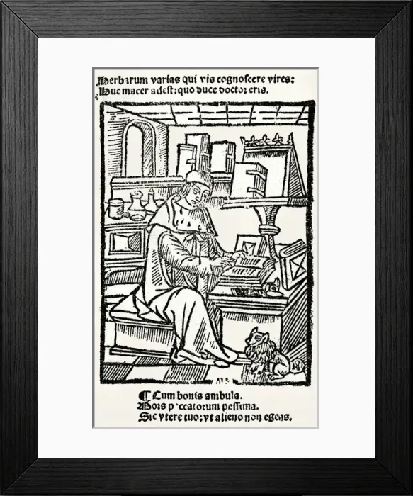 Framed Print : French Herbalist Marcus Floridus Framed Print : French Herbalist Marcus Floridus