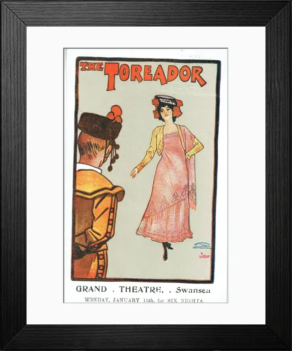 Framed Print : The Toreador by James T Tanner