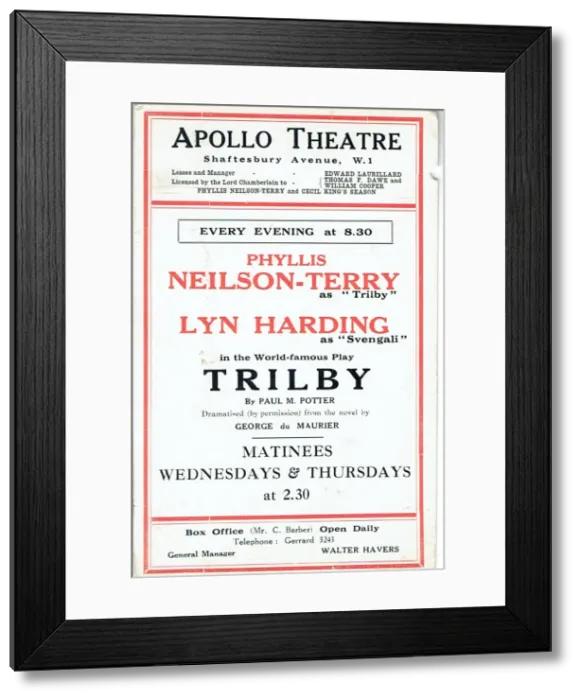 Framed Print : Trilby by Paul M Potter Framed Print : Trilby by Paul M Potter