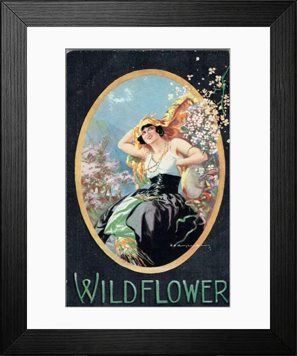 Framed Print : Wildflower by Oscar Hammerstein & Otto Harbach Framed Print : Wildflower by Oscar Hammerstein & Otto Harbach