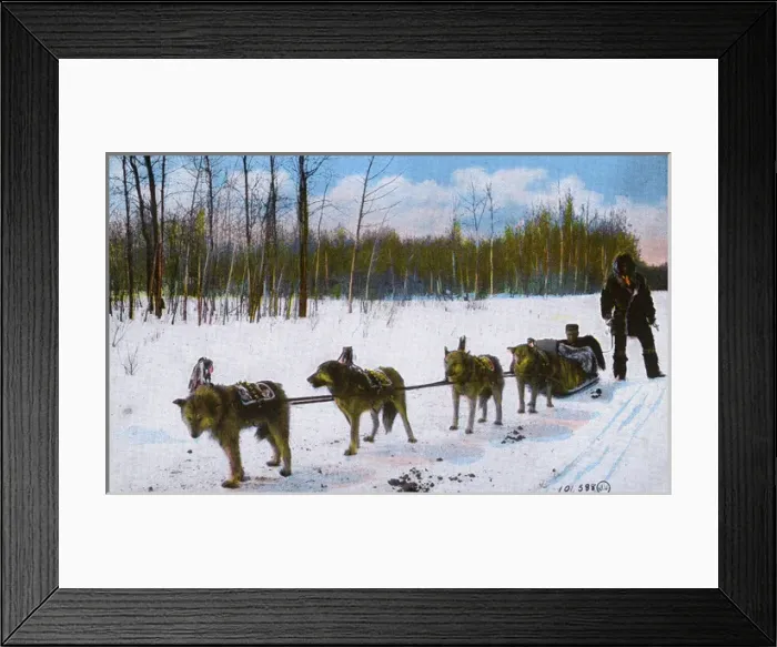 Framed Print : Western Canada - Indian Husky Dog Team Framed Print : Western Canada - Indian Husky Dog Team