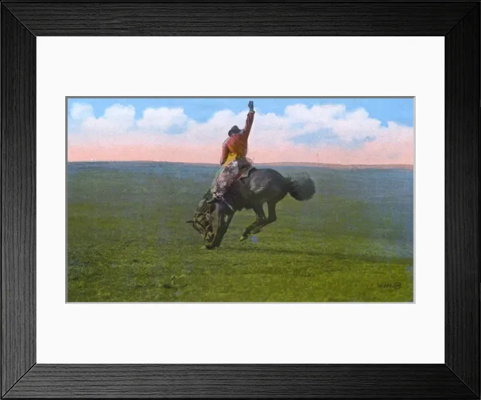 Framed Print : Western Canada - Bucking Broncho Framed Print : Western Canada - Bucking Broncho