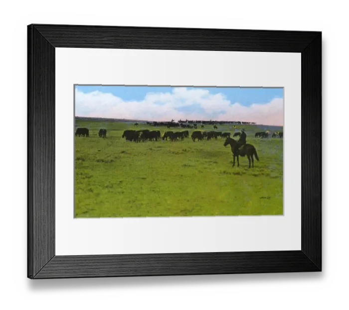 Framed Print : Western Canada - Cattle Ranch Framed Print : Western Canada - Cattle Ranch