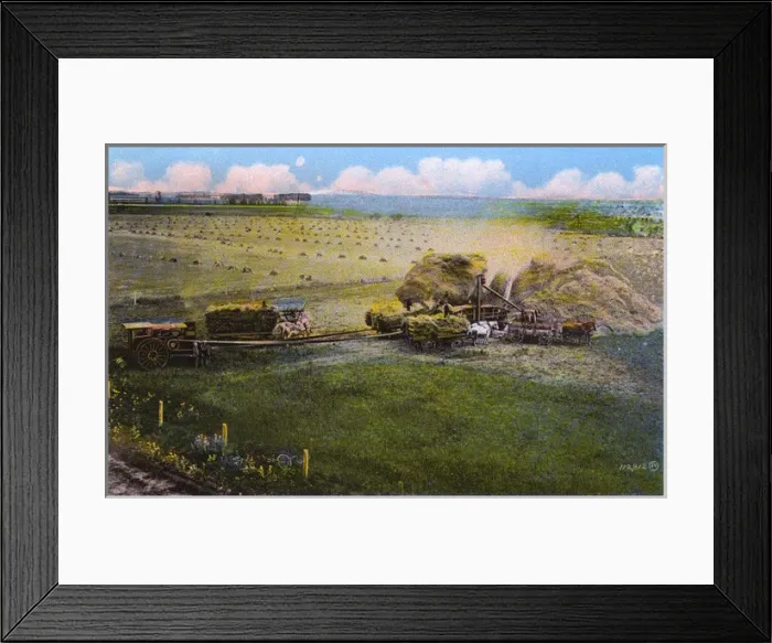 Framed Print : Western Canada - Threshing Scene Framed Print : Western Canada - Threshing Scene