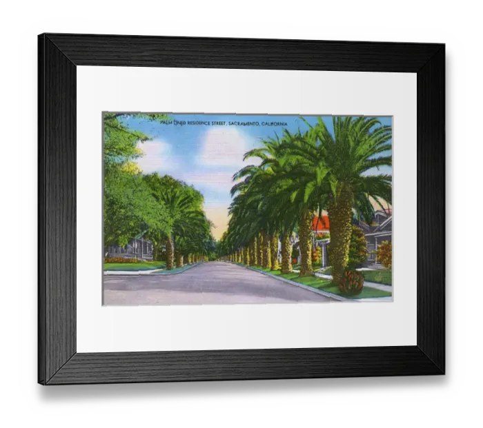 Framed Print : Sacramento, California, USA - Palm-lined residence street