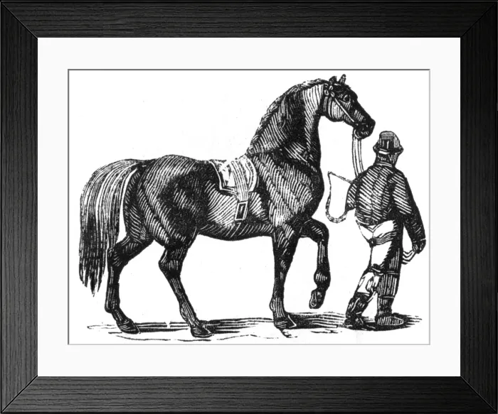 Framed Print : Man leading a heavy carthorse, c. 1810 Framed Print : Man leading a heavy carthorse, c. 1810