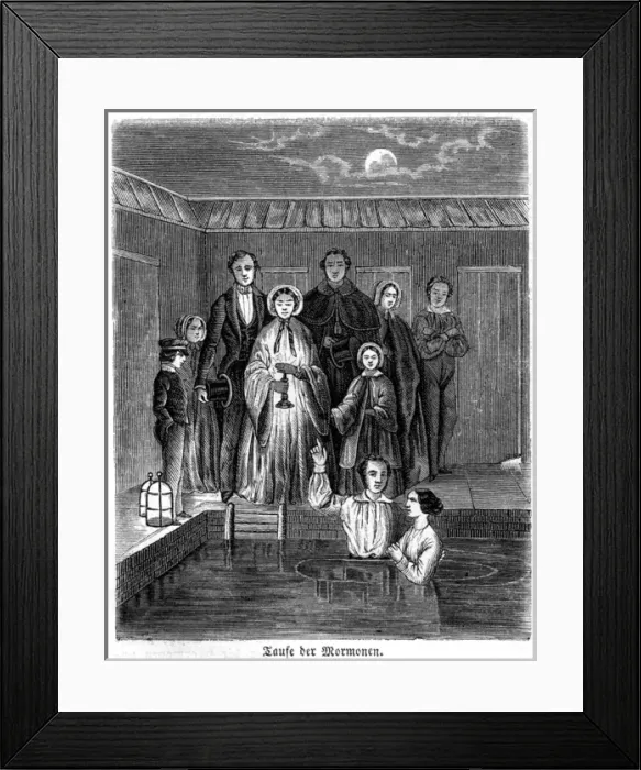 Framed Print : Picture No. 10023006 Framed Print : Picture No. 10023006