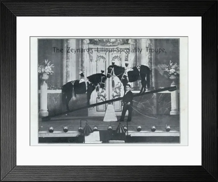 Framed Print : Zeynards Liliput Speciality Troupe Framed Print : Zeynards Liliput Speciality Troupe