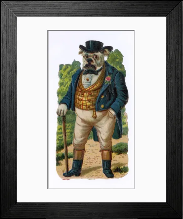 Framed Print : John Bull-Dog Framed Print : John Bull-Dog