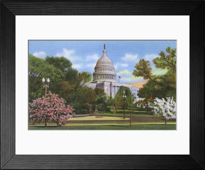 Framed Print : Washington DC, USA - US Capitol at blossom time Framed Print : Washington DC, USA - US Capitol at blossom time