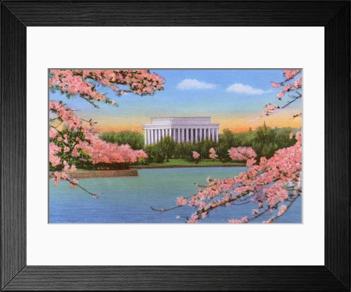Framed Print : Washington DC, USA - Lincoln Memorial and cherry blossoms Framed Print : Washington DC, USA - Lincoln Memorial and cherry blossoms