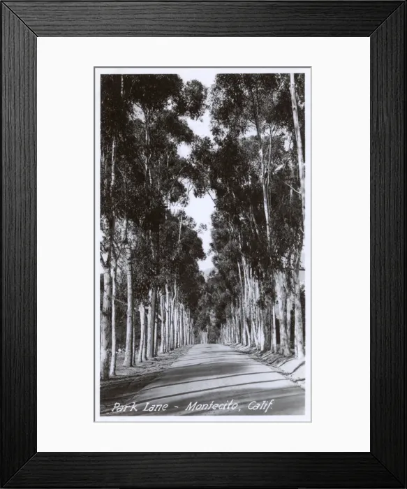 Framed Print : Montecito, Santa Barbara County, California, USA Framed Print : Montecito, Santa Barbara County, California, USA