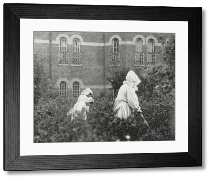 Framed Print : Aylesbury Inebriate Reformatory - Inmates Gardening