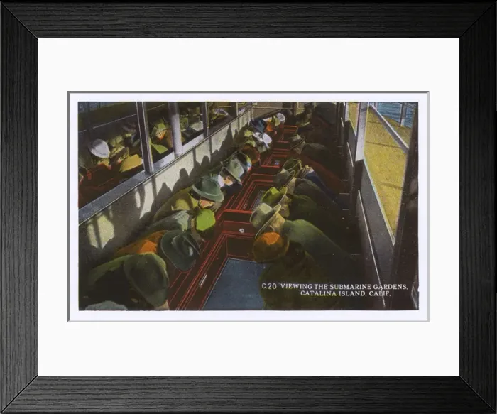Framed Print : Submarine Gardens, Santa Catalina Island, California, USA Framed Print : Submarine Gardens, Santa Catalina Island, California, USA