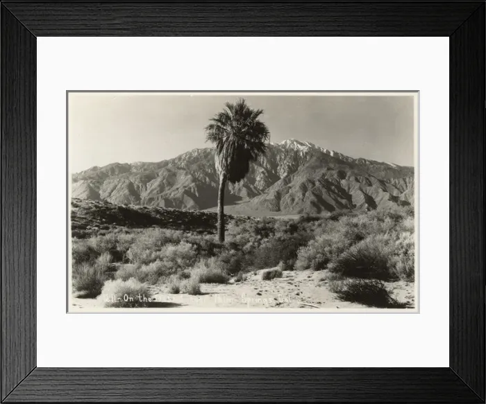 Framed Print : Desert near Palm Springs, California, USA Framed Print : Desert near Palm Springs, California, USA