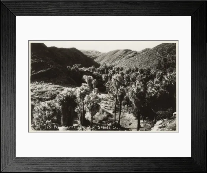 Framed Print : Palm Canyon near Palm Springs, California, USA Framed Print : Palm Canyon near Palm Springs, California, USA
