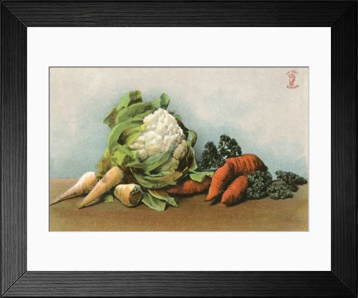 Framed Print : Mixed Vegetables 20C Framed Print : Mixed Vegetables 20C