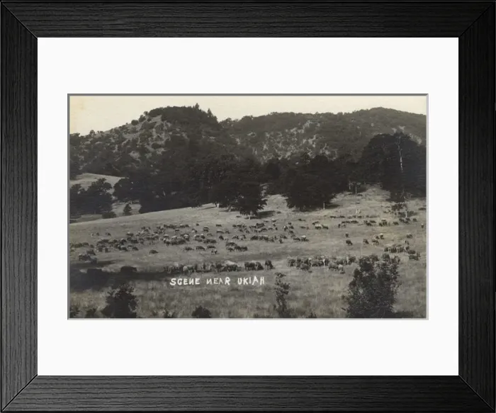 Framed Print : Scene near Ukiah, Mendocino County, California, USA Framed Print : Scene near Ukiah, Mendocino County, California, USA