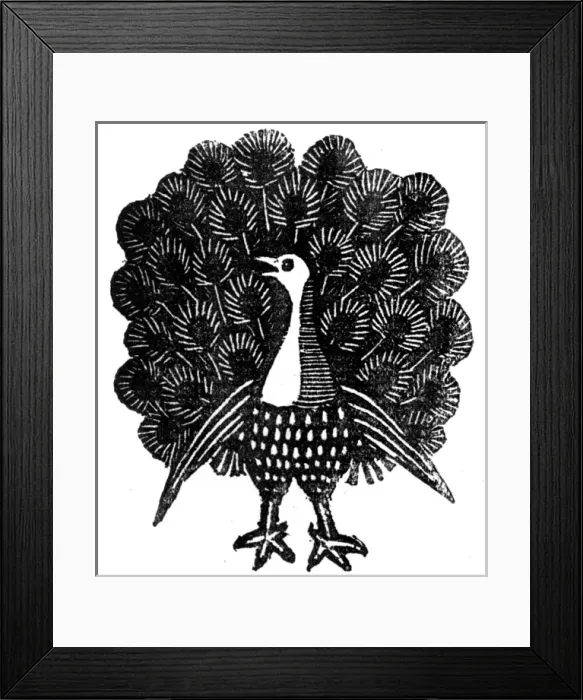 Framed Print : Peacock displaying
