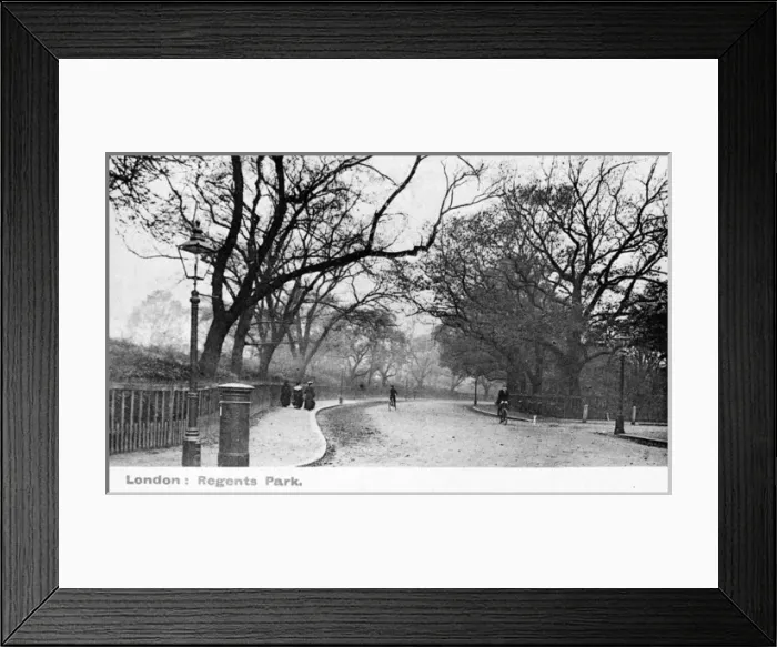 Framed Print : Scene on the edge of Regents Park, London Framed Print : Scene on the edge of Regents Park, London
