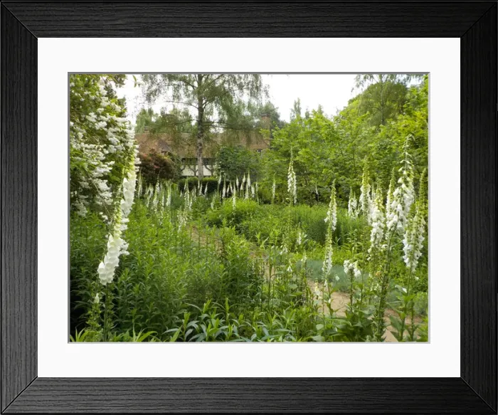 Framed Print : Munstead Wood and Gardens - home of Gertrude Jekyll Framed Print : Munstead Wood and Gardens - home of Gertrude Jekyll