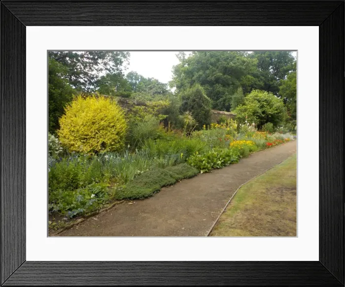 Framed Print : Munstead Wood and Gardens - home of Gertrude Jekyll Framed Print : Munstead Wood and Gardens - home of Gertrude Jekyll