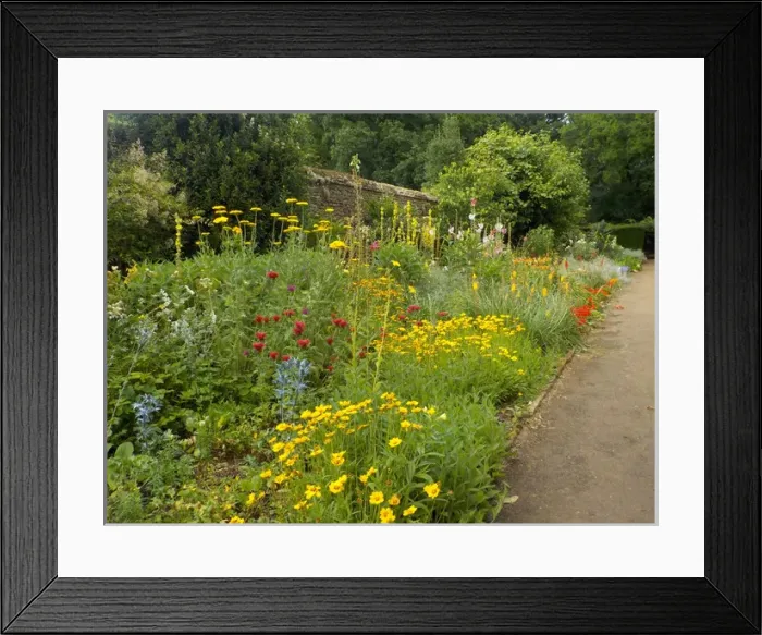 Framed Print : Munstead Wood and Gardens - home of Gertrude Jekyll Framed Print : Munstead Wood and Gardens - home of Gertrude Jekyll