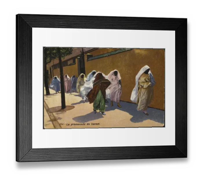 Framed Print : Racial / Egypt / Harem Women Framed Print : Racial / Egypt / Harem Women