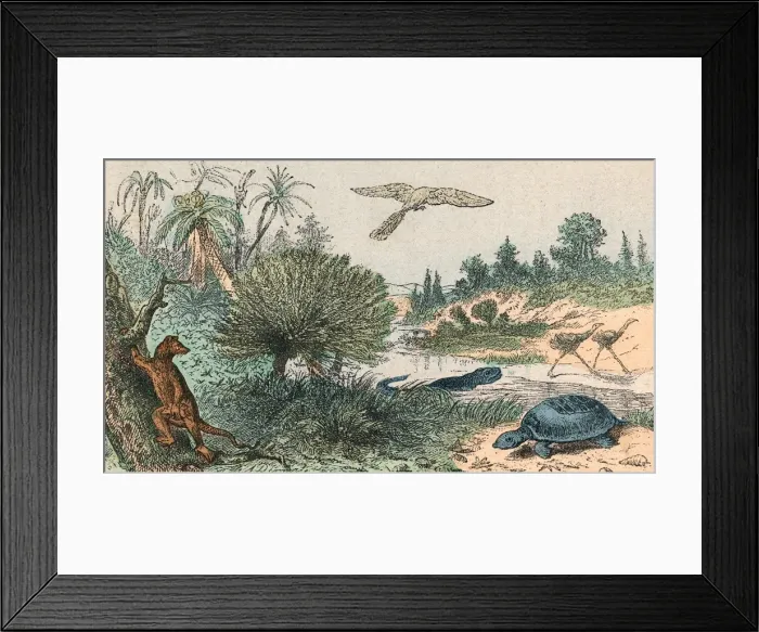 Framed Print : Cretaceous L scape Framed Print : Cretaceous L scape