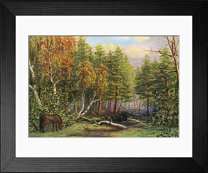 Framed Print : Miocene L scape Framed Print : Miocene L scape
