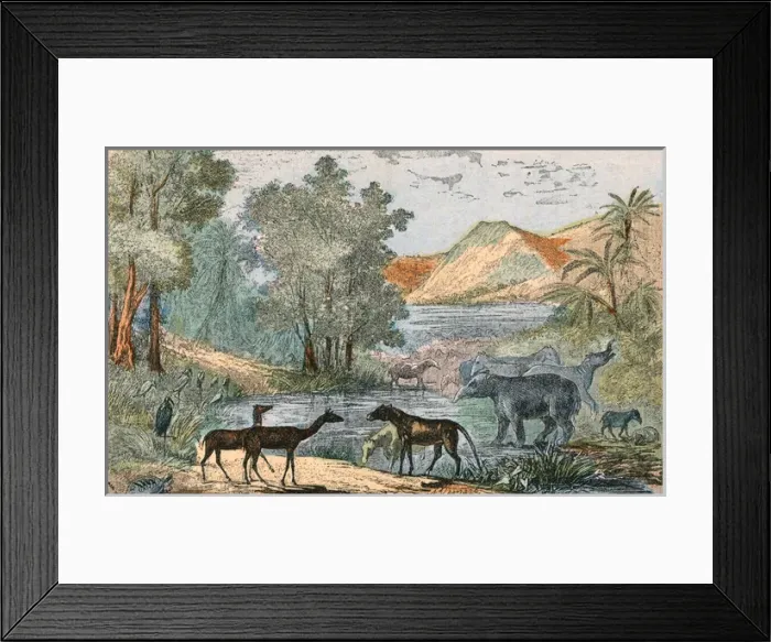 Framed Print : Eocene L scape  /  Animals