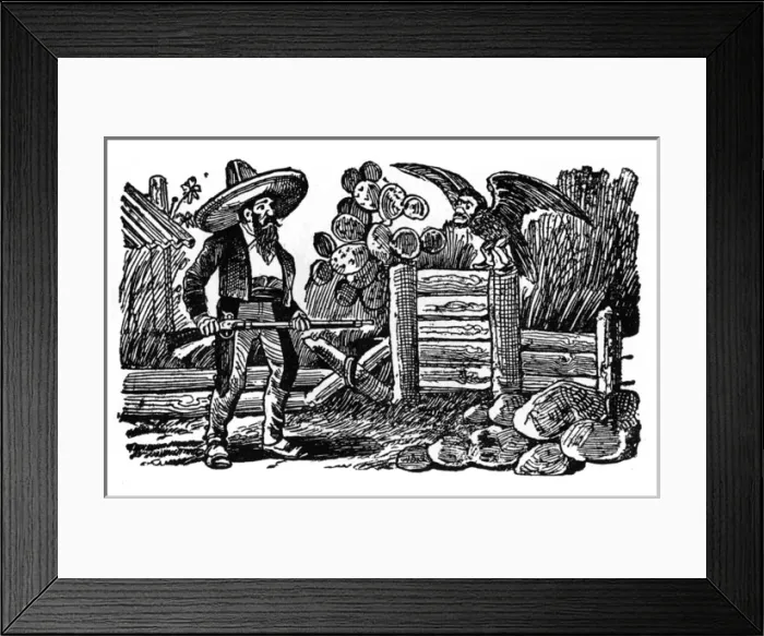 Framed Print : Ballad of the Farmer and the Hawk, Mexico Framed Print : Ballad of the Farmer and the Hawk, Mexico