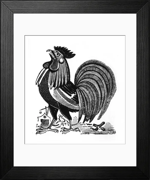 Framed Print : Spur against Free Knife, Mexico Framed Print : Spur against Free Knife, Mexico